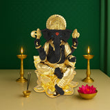Ganesha - GMIDG6RGB-0002