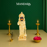 Standing Kariyasidhhi Anjeneyaswamy - GMIDHM7RGB-003