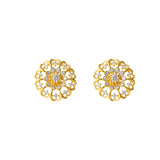 Divira Shine - GMSLSST1W-005